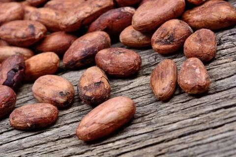 Group of cocoa beans on table Stock Photos