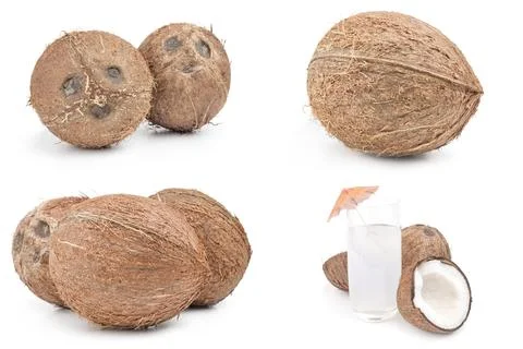 Group of coconut on white Stock Photos