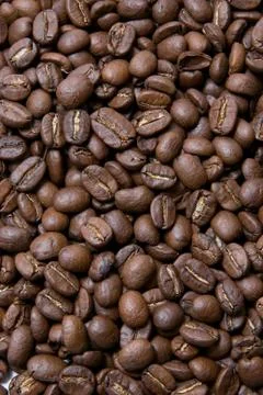 Group coffee beans 库存照片
