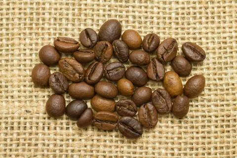 Group coffee beans on  sackcloth Stock Photos