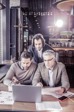 Group of colleagues working together at project Stock Photos