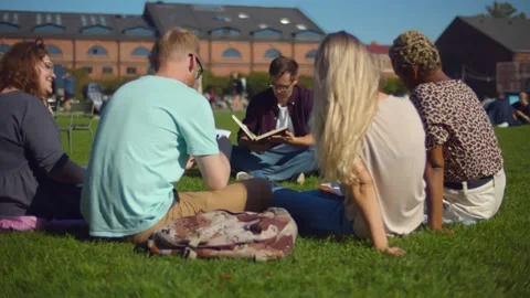 Group of college friends preparing for lessons outdoors, sitting on lawn in park Stock Footage 139057916