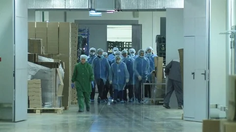 Group Come into Vegetable Processing Plant Workshop Stock Footage 79860486