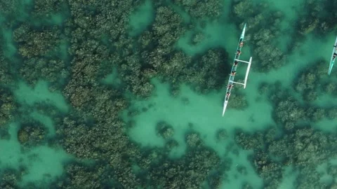 Group of competitors training in canoes in a sea of ​​clear waters. Stock Footage 280322359