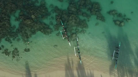 Group of competitors training in canoes in the sea Stock Footage 290441360