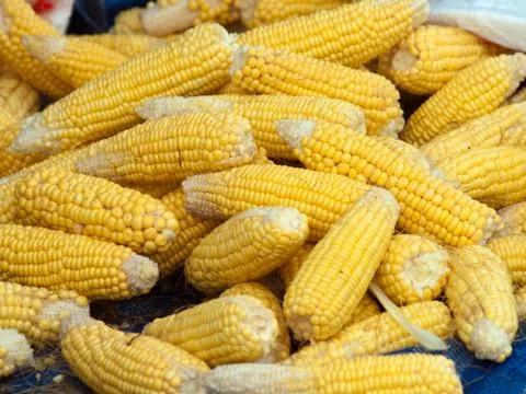 Group of corn Stock Photos