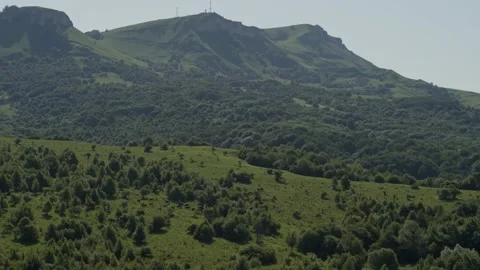 Group of cows grazing on green meadow, small forest and mount Karachay-Cherkess Video stock 140141572