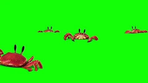 Group of Crab on the Sand Green Screen Close 3D Rendering Animation Vidéo 85225918