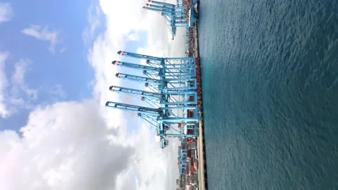 Group of cranes in the harbor, vertical video Stock Footage 171588844