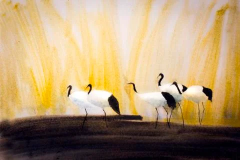 A group of cranes in the reeds Stock Illustration