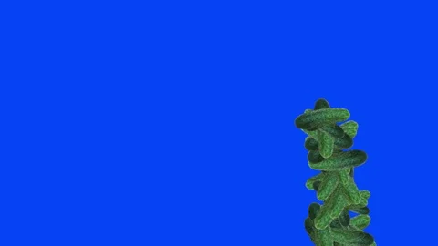 Group of Cucumbers animation , editable background, blue screen chroma key Stock Footage 123821408