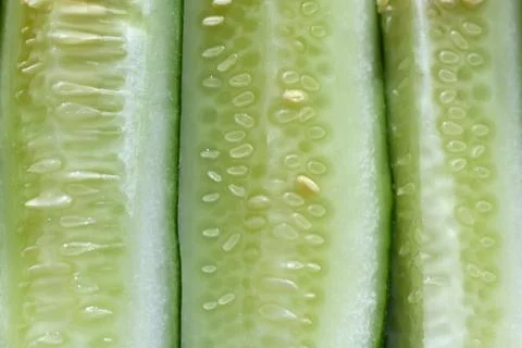 Group of cucumbers close up Stock Photos