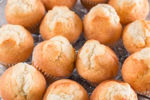 Group of cupcakes Stock Photos