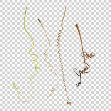 Group of curling tendrils a threadlike shape specialized plant stem used by.. Stock Photos