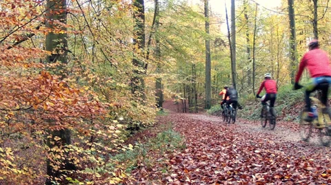 Group of cyclists in the autumn forest. Stock Footage 32696663