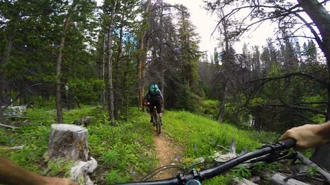 Group Of Cyclists Riding A Trail In The Forest Alongside Wild Flowers 스톡 동영상 115096002