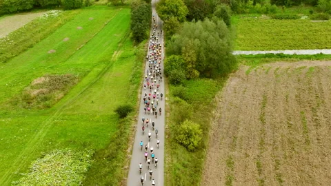A group of cyclists on the sixth. Bicycle races. Sport. A peloton of cyclists Stock Footage 219610415