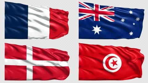 Group D Soccer World Cup 2022 Qatar 4 Flags loop Stock Footage 221513416