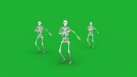 Group of dancing skeletons in a funny loop animation on green screen background Stock Footage 313578487
