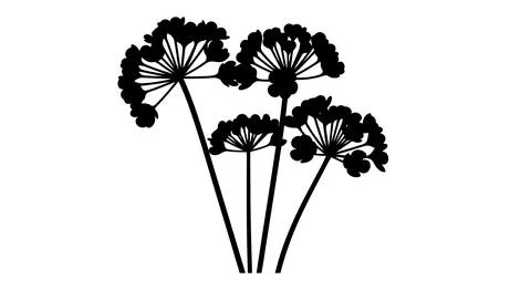 A group of dandelion flowers Stock Illustration