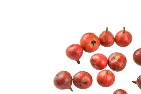 A group of dark red figs, some showing early signs of decay, cutout with cl.. Stock Photos