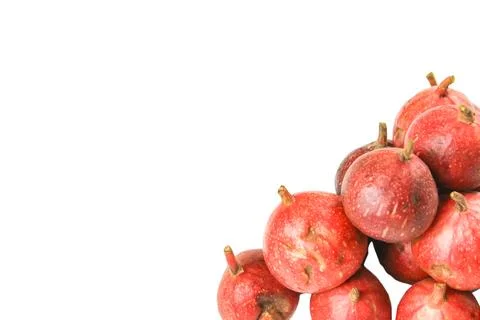 A group of dark red figs, some showing early signs of decay, cutout with cl.. Stock Photos