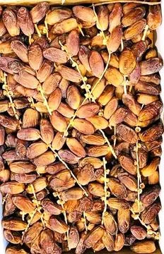 A group of dates in a box or The box set of date palms. Stock Photos