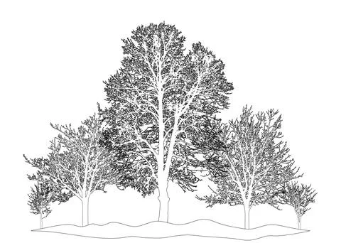 Group of deciduous bare trees standing on hilltop, outline. Vector illustrati Stock Illustration