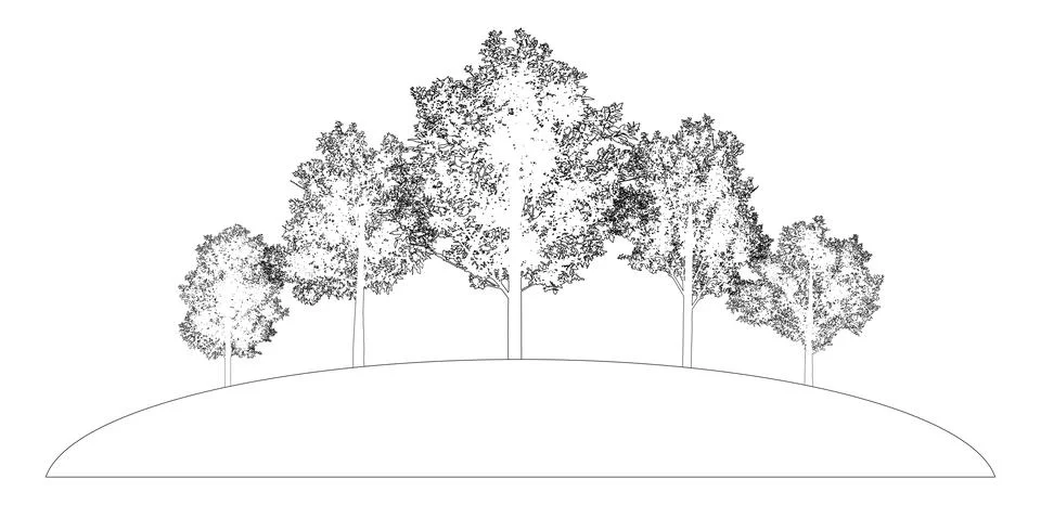 Group of deciduous bare trees standing on hilltop, contour. Vector illustrati Stock Illustration