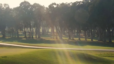 A group of deciduous trees on a golf course. Sunset, beautiful light. Pan shot. Vídeos de archivo 123051716