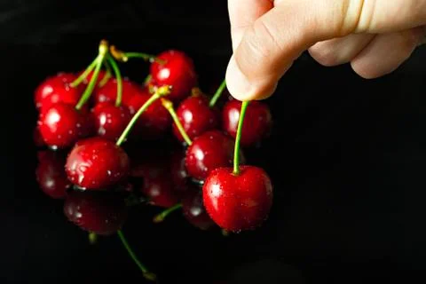 Group dew-covered cherries with reflection Stock Photos