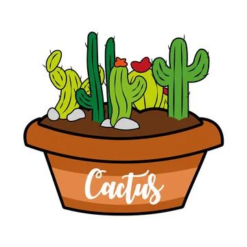 Group of different colored cactus on a pot Vector Stock Illustration