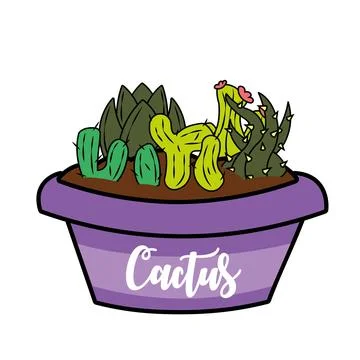 Group of different colored cactus on a pot Vector Stock Illustration
