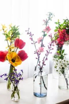 Group of different flowers on the table Stock Photos