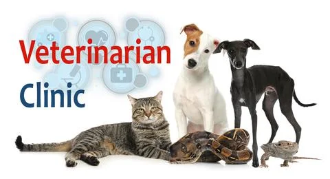 Group of different pets and text Veterinarian Clinic on white background Stock Photos