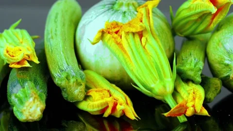 Group of different type of zucchini and courgette flowers Stock Footage 136022709