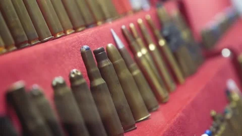 A Group Of Different Types Of Combat Cartridges Organized In Rows Stock Footage 228115614