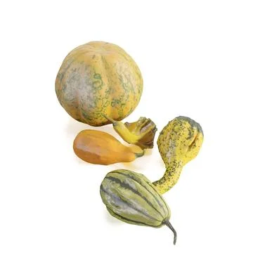 A group of different varieties of vegetables are arranged in a group, 3d renderi Stock Illustration