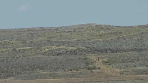 Group of distant mountain bikers riding over prairie road Stock Footage 74770272