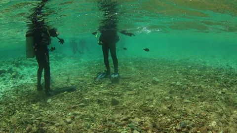 A group of divers begins their dive. The camera shoots under and over water Stock Footage 178946772