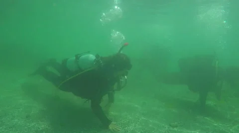 Group of Divers diving and swimming with school in tropical reef Stockbeeldmateriaal 60209205