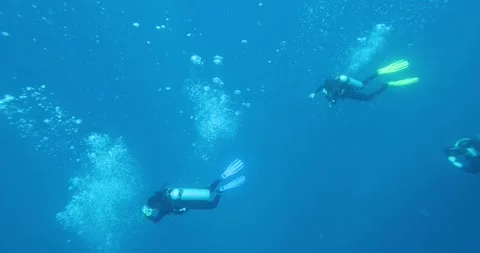 A group of divers diving towards a sunken ship in the Philippine Sea Stock Footage 256096076
