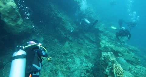 A group of divers diving towards a sunken ship in the Philippine Sea Stock Footage 265654578