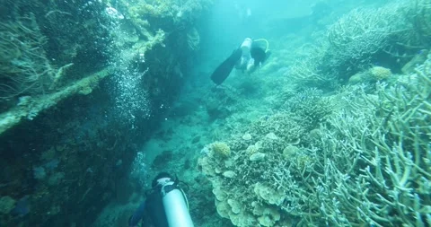A group of divers diving towards a sunken ship in the Philippine Sea. Stock Footage 269665762