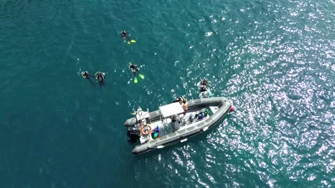 Group of divers do scuba diving baptism Video stock 246791584