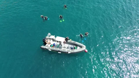 Group of divers do scuba diving baptism Видео 246791714
