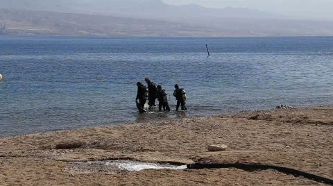The group of divers enters the sea Stock Footage 44018997