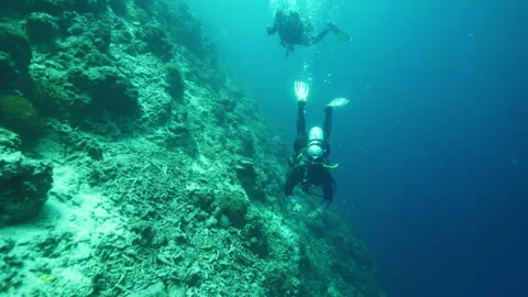 Group of divers explores seabed covered with various rocks Video stock 281547973
