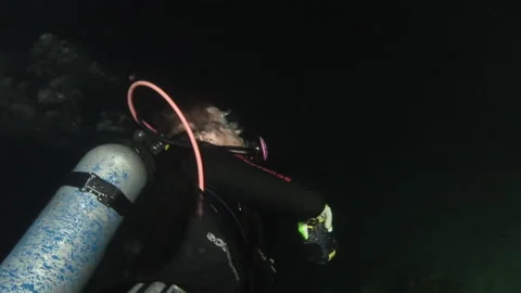 Group of divers exploring underwater world close to bottom in dark. Stock Footage 235788223