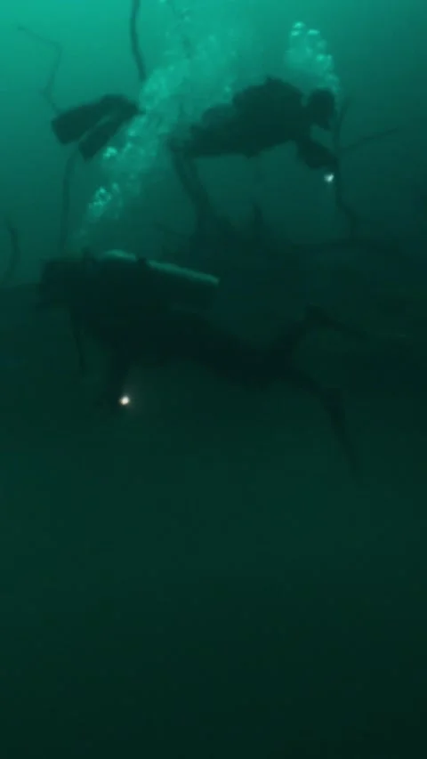 Group of divers with flashlights swimming in murky green water through an eerie 스톡 동영상 332001786